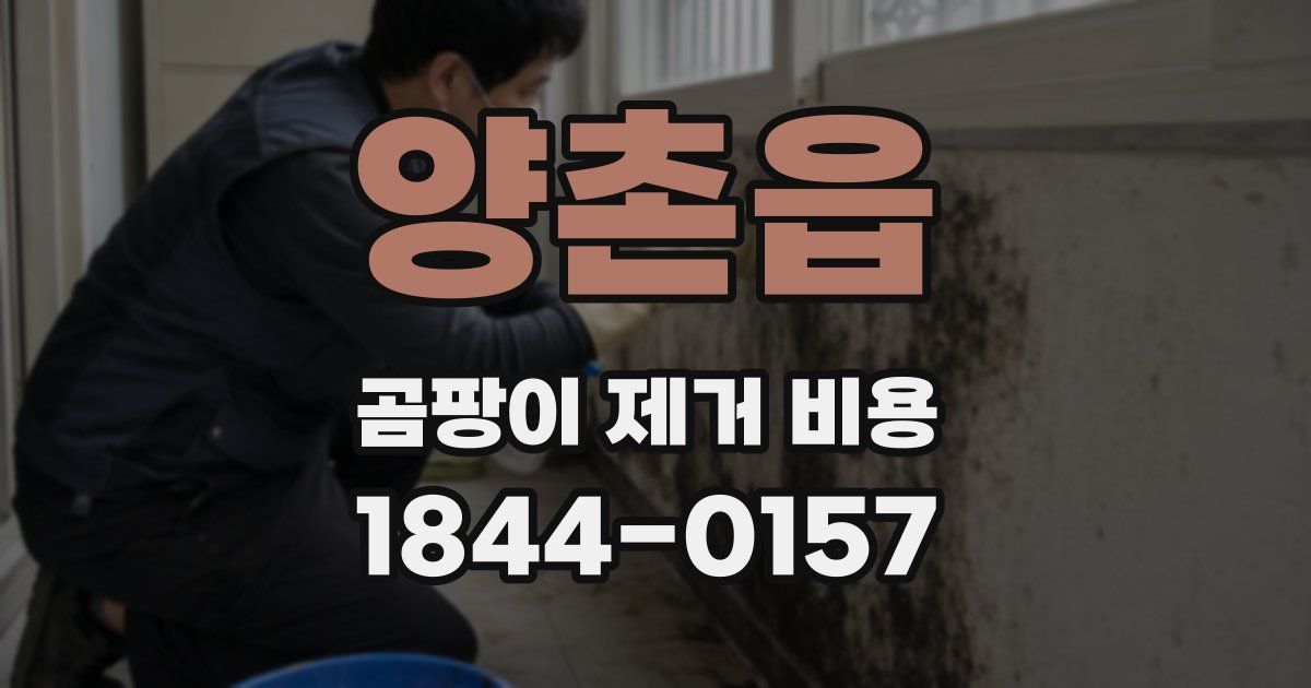 양촌읍 곰팡이 제거 비용