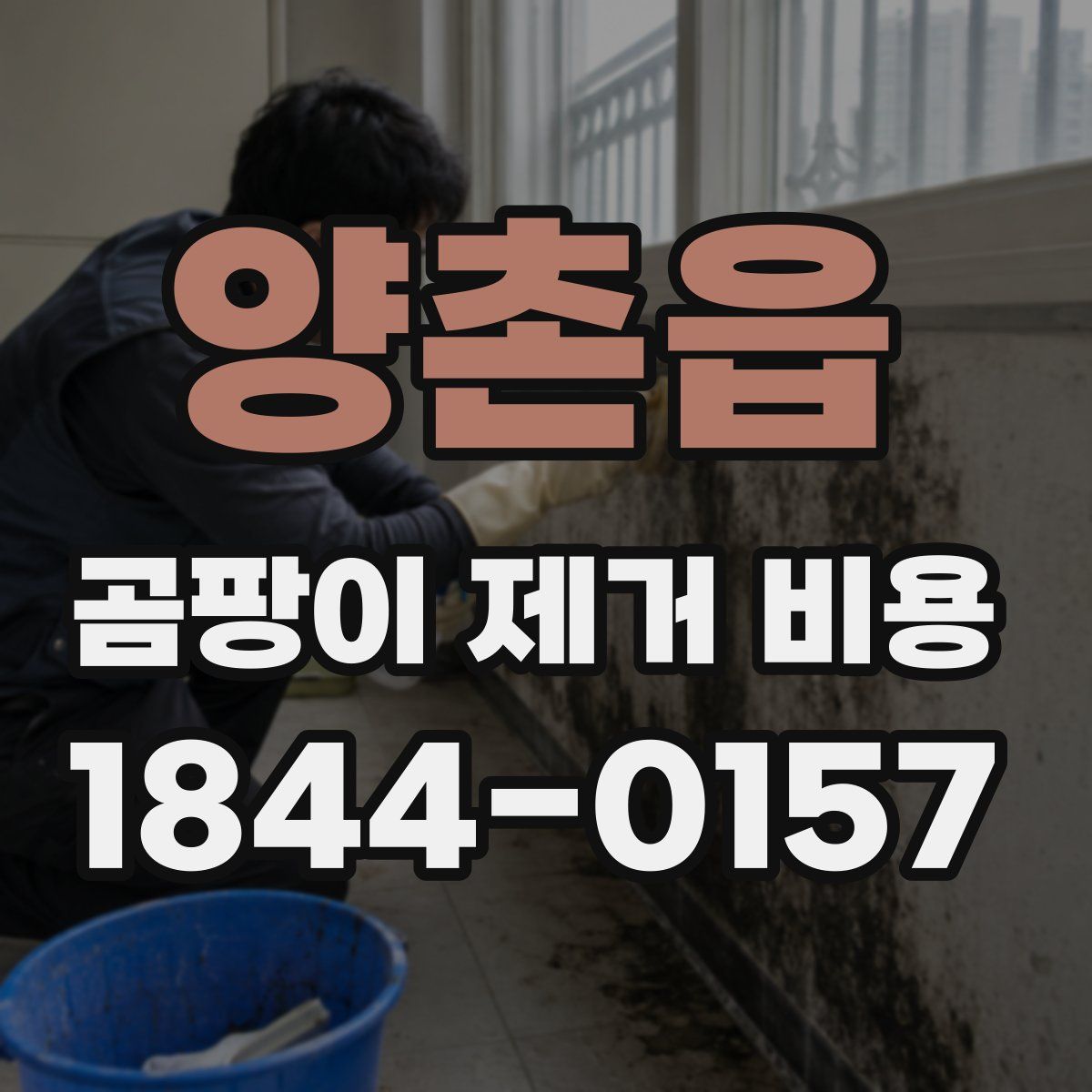 양촌읍 곰팡이 제거 비용