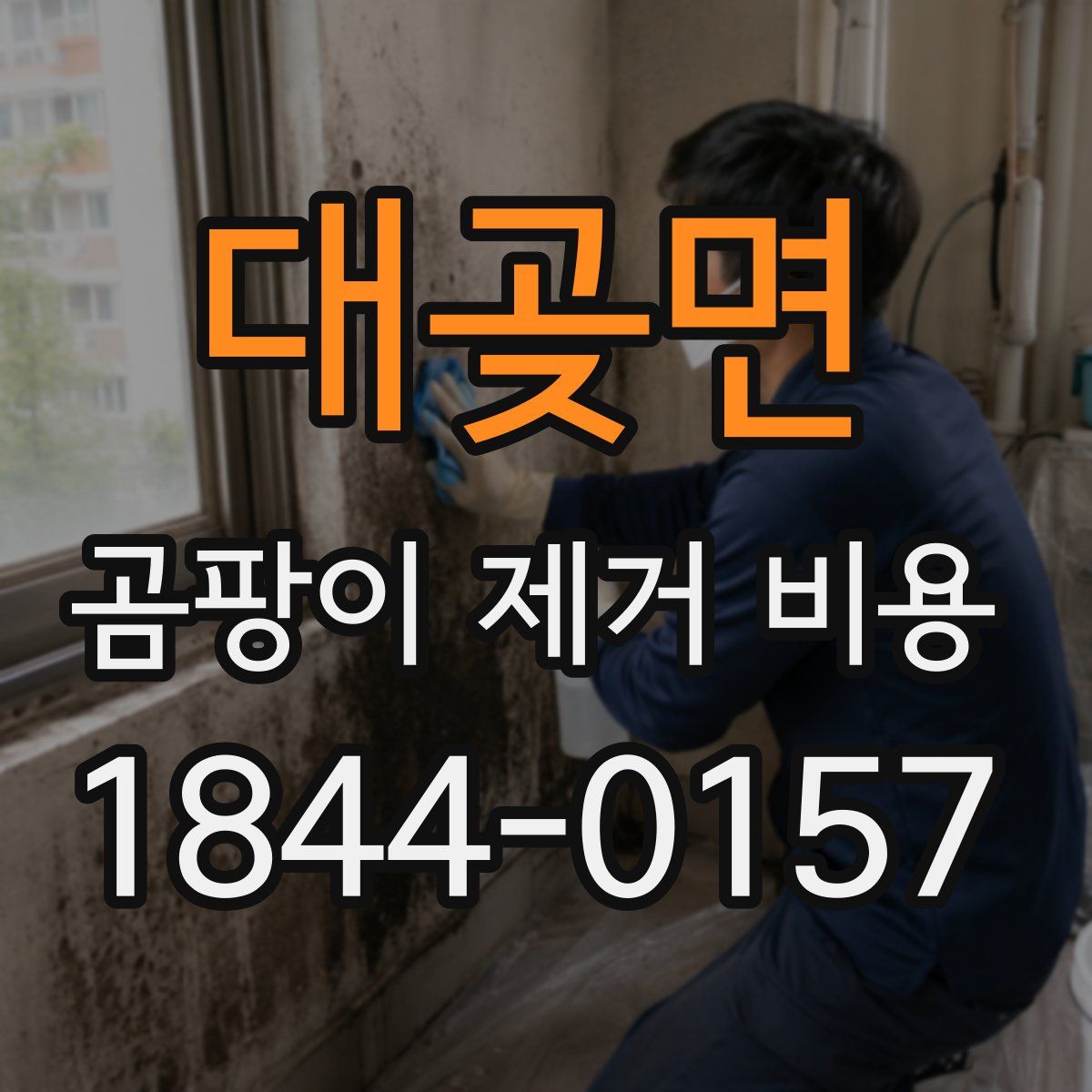 대곶면 곰팡이 제거 비용
