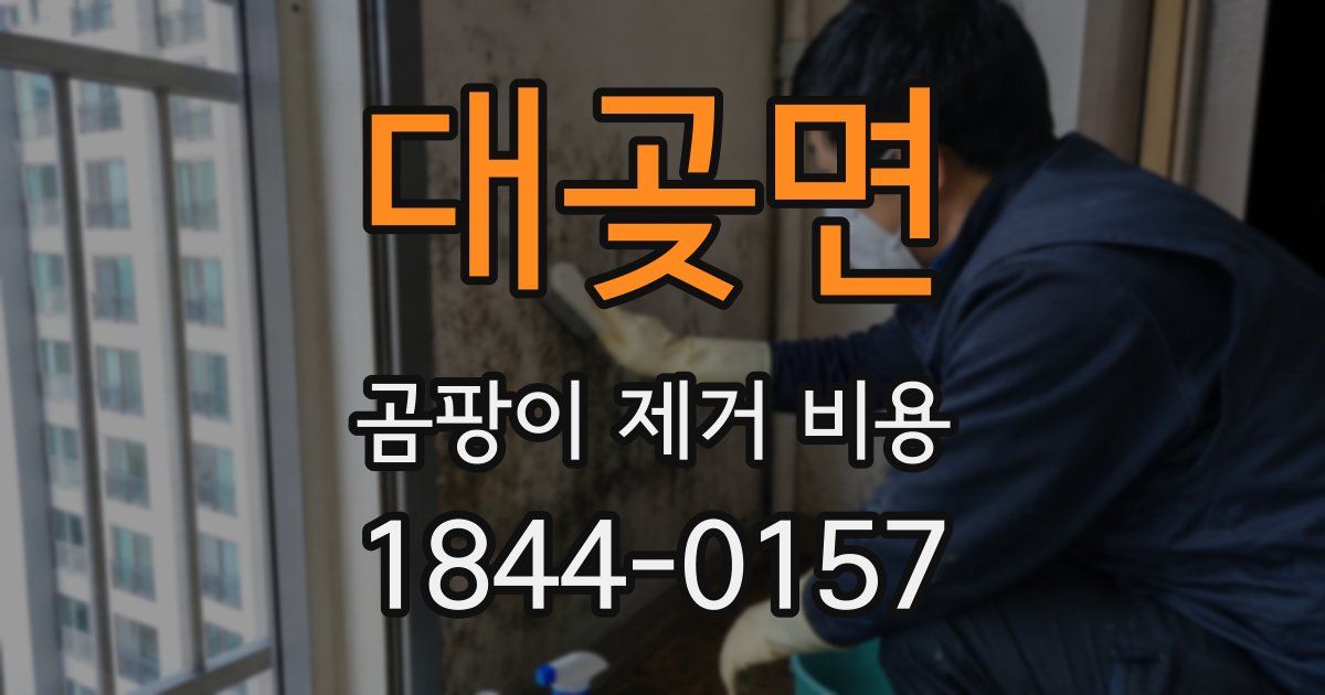 대곶면 곰팡이 제거 비용