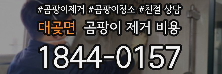 대곶면 곰팡이 제거 비용