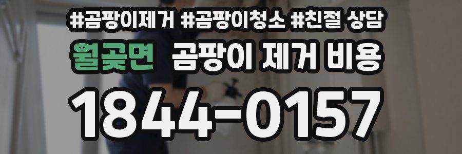 월곶면 곰팡이 제거 비용