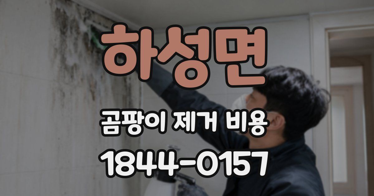 하성면 곰팡이 제거 비용