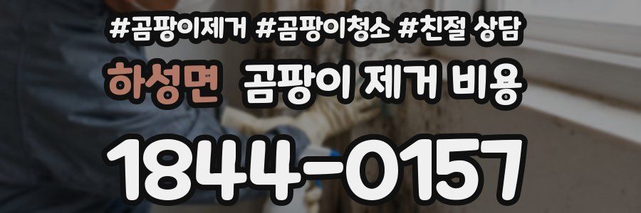 하성면 곰팡이 제거 비용