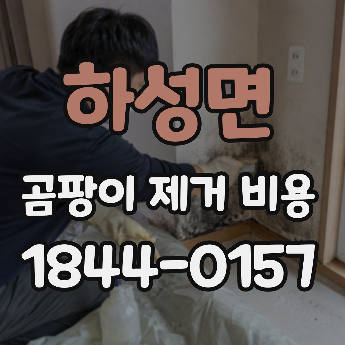 하성면 곰팡이 제거 비용