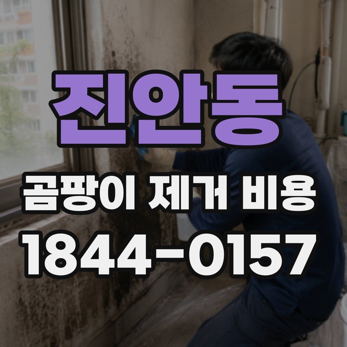 진안동 곰팡이 제거 비용 의뢰 전 준비하면 좋은 정보
