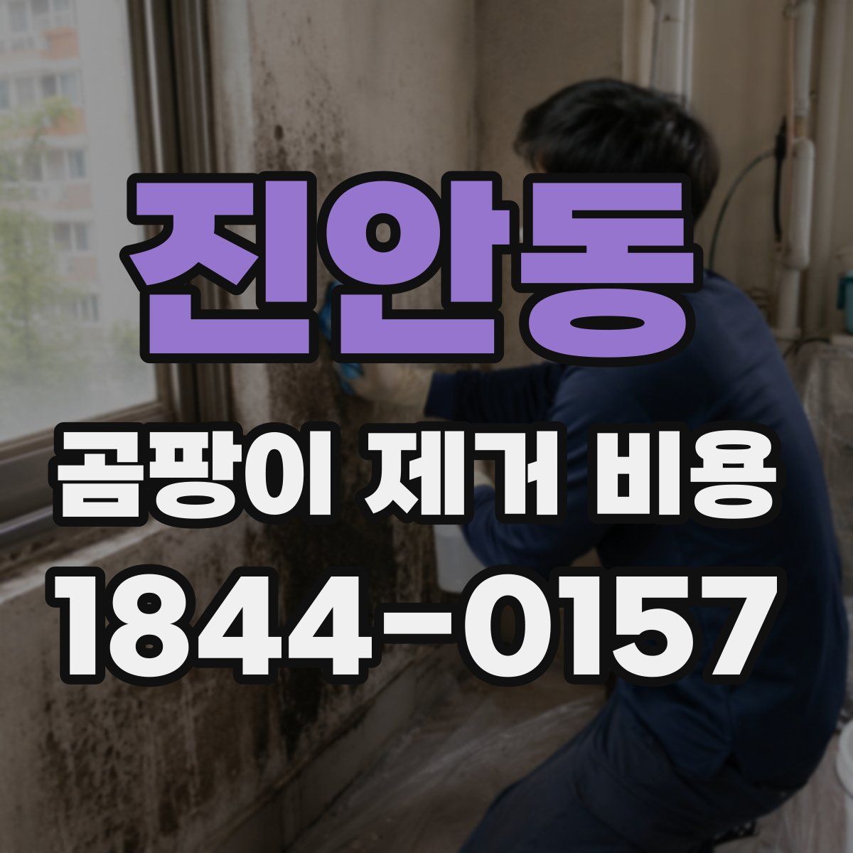 진안동 곰팡이 제거 비용