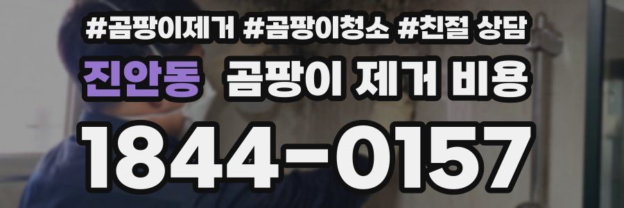 진안동 곰팡이 제거 비용