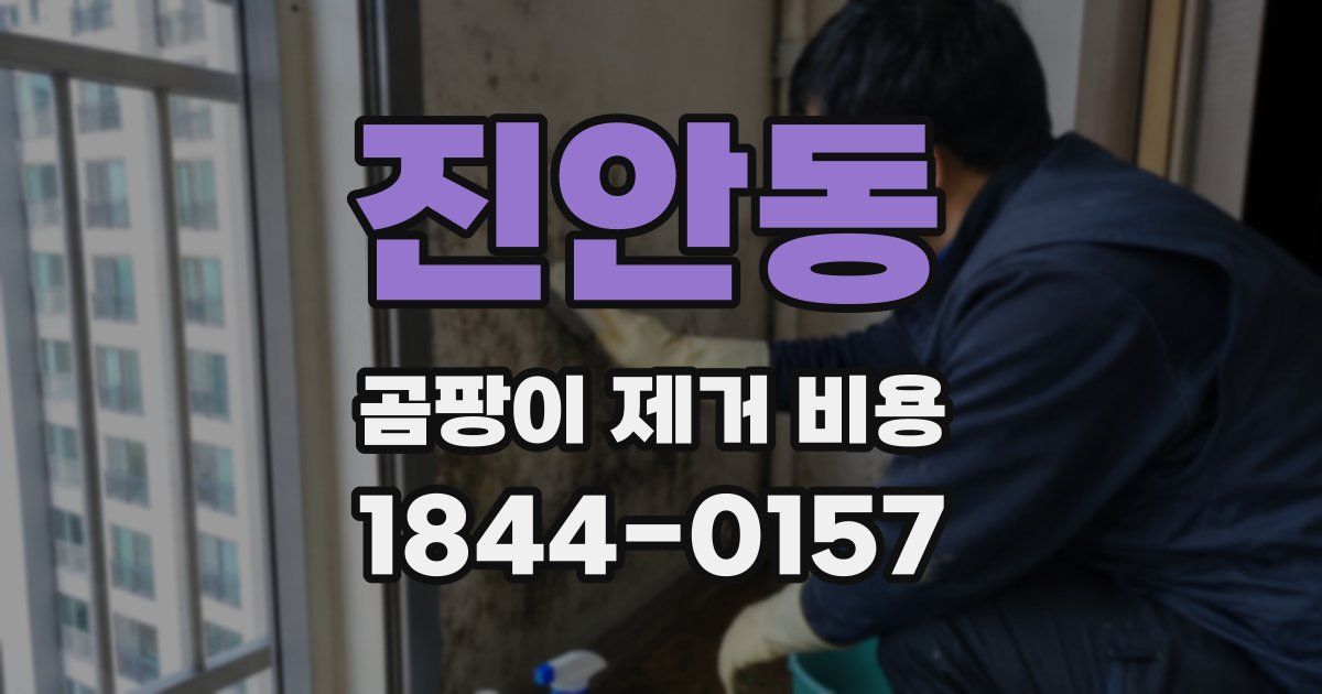 진안동 곰팡이 제거 비용