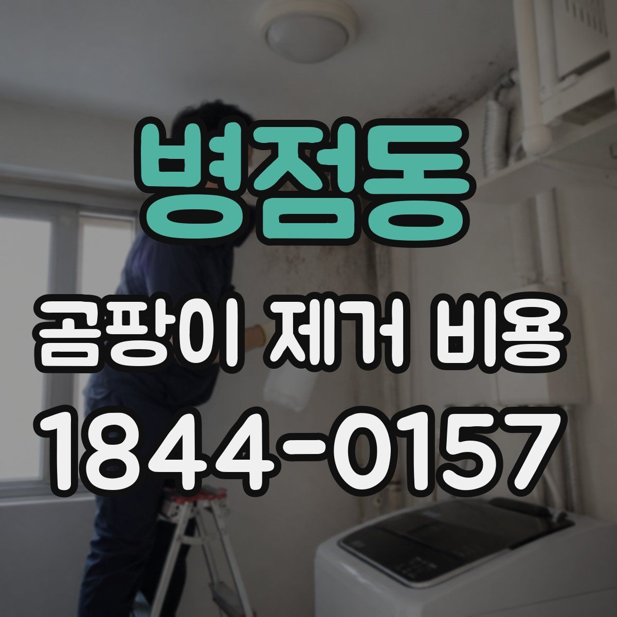 병점동 곰팡이 제거 비용