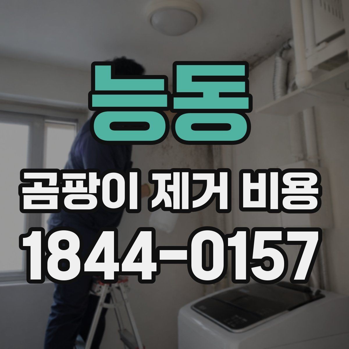 능동 곰팡이 제거 비용 어느 정도가 적당할까