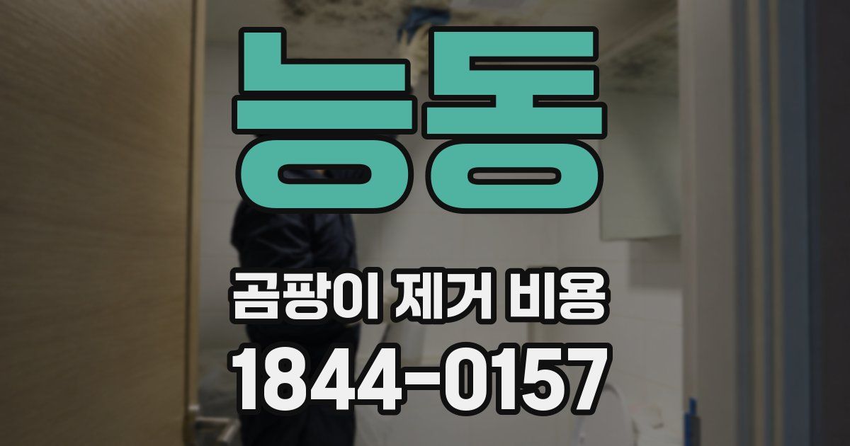 능동 곰팡이 제거 비용