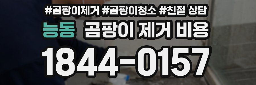 능동 곰팡이 제거 비용