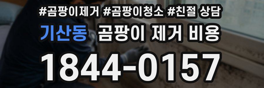 기산동 곰팡이 제거 비용