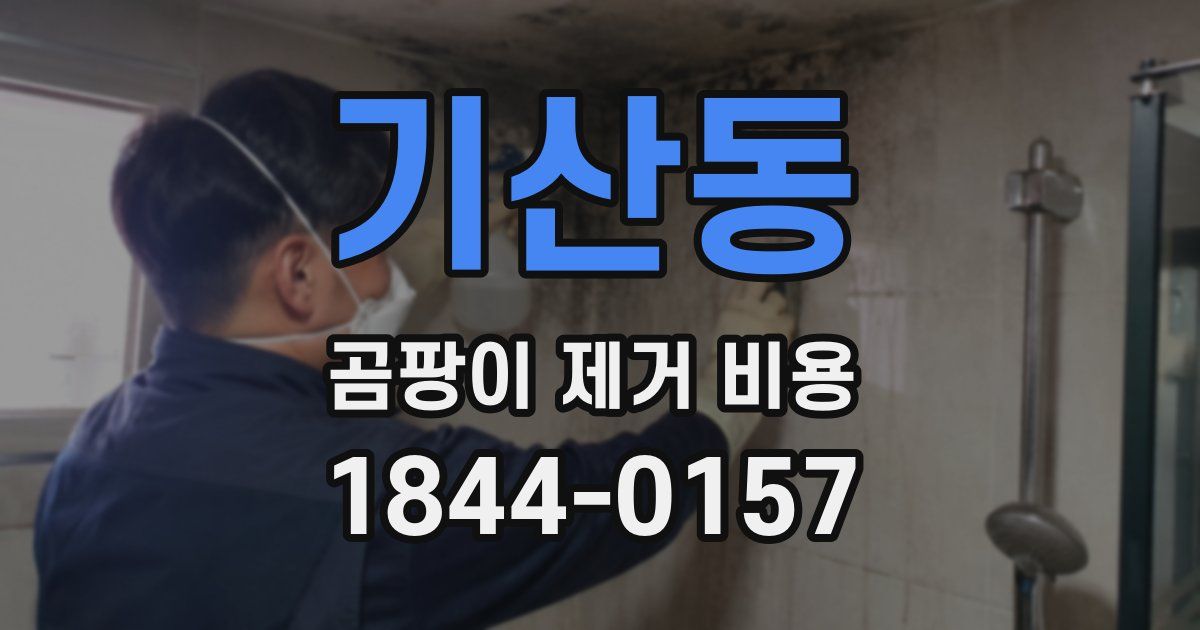 기산동 곰팡이 제거 비용