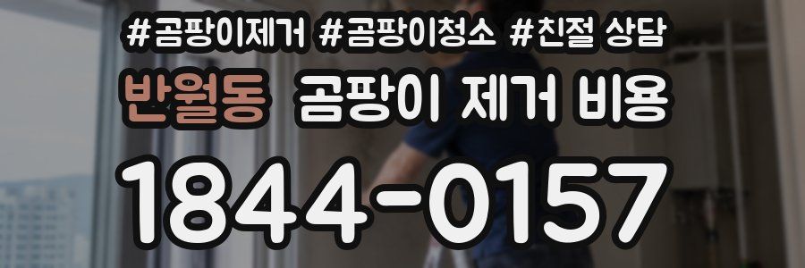 반월동 곰팡이 제거 비용