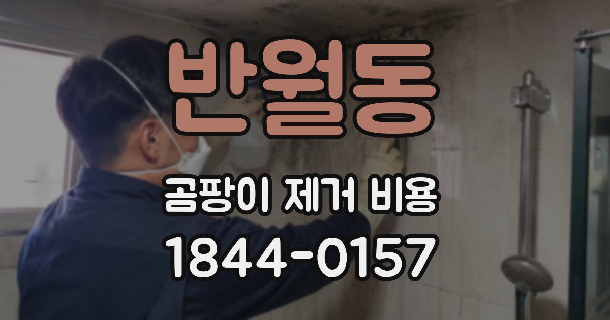 반월동 곰팡이 제거 비용