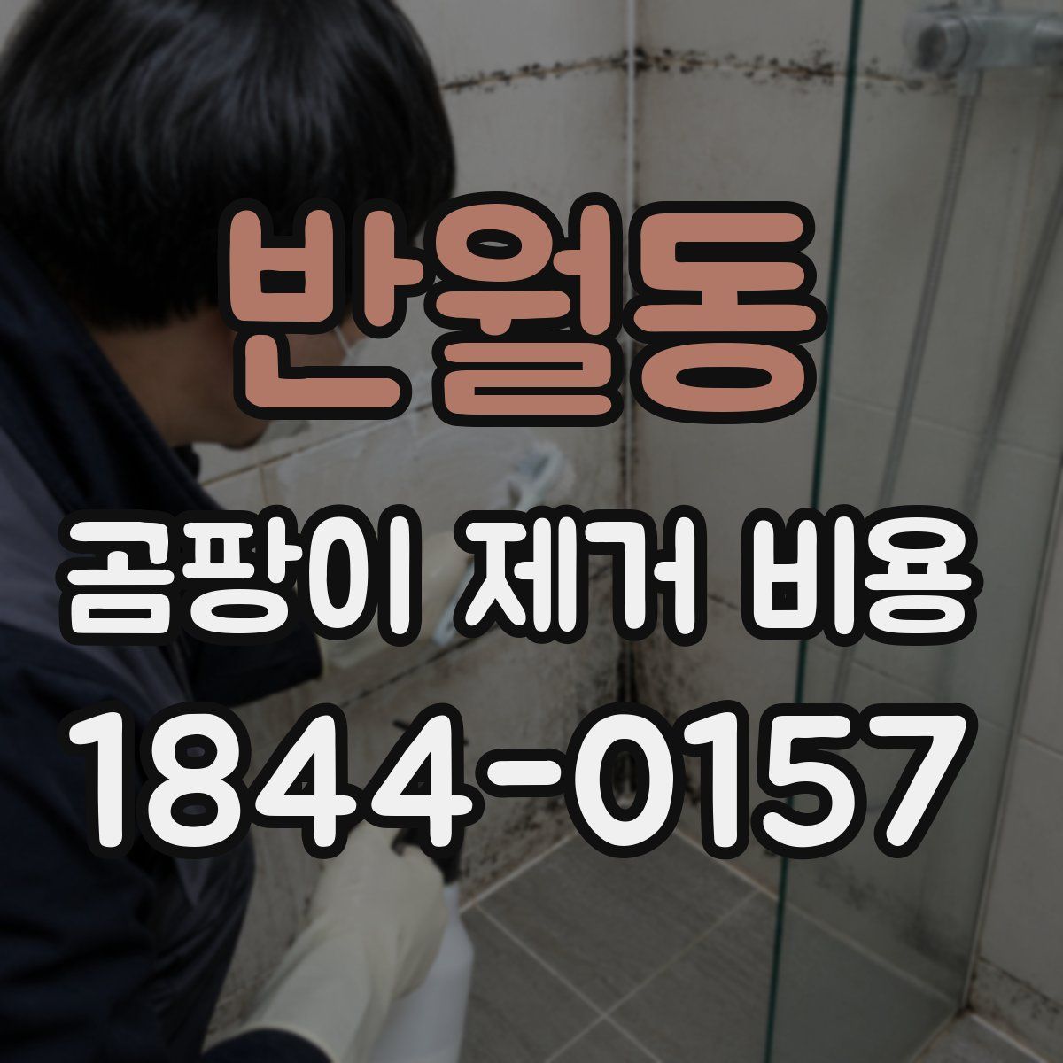 반월동 곰팡이 제거 비용