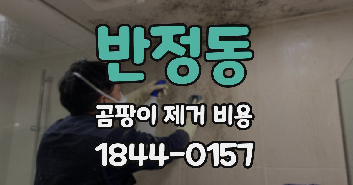 반정동 곰팡이 제거 비용