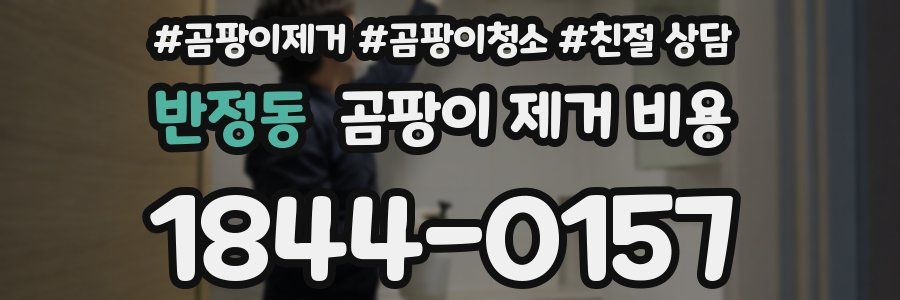 반정동 곰팡이 제거 비용
