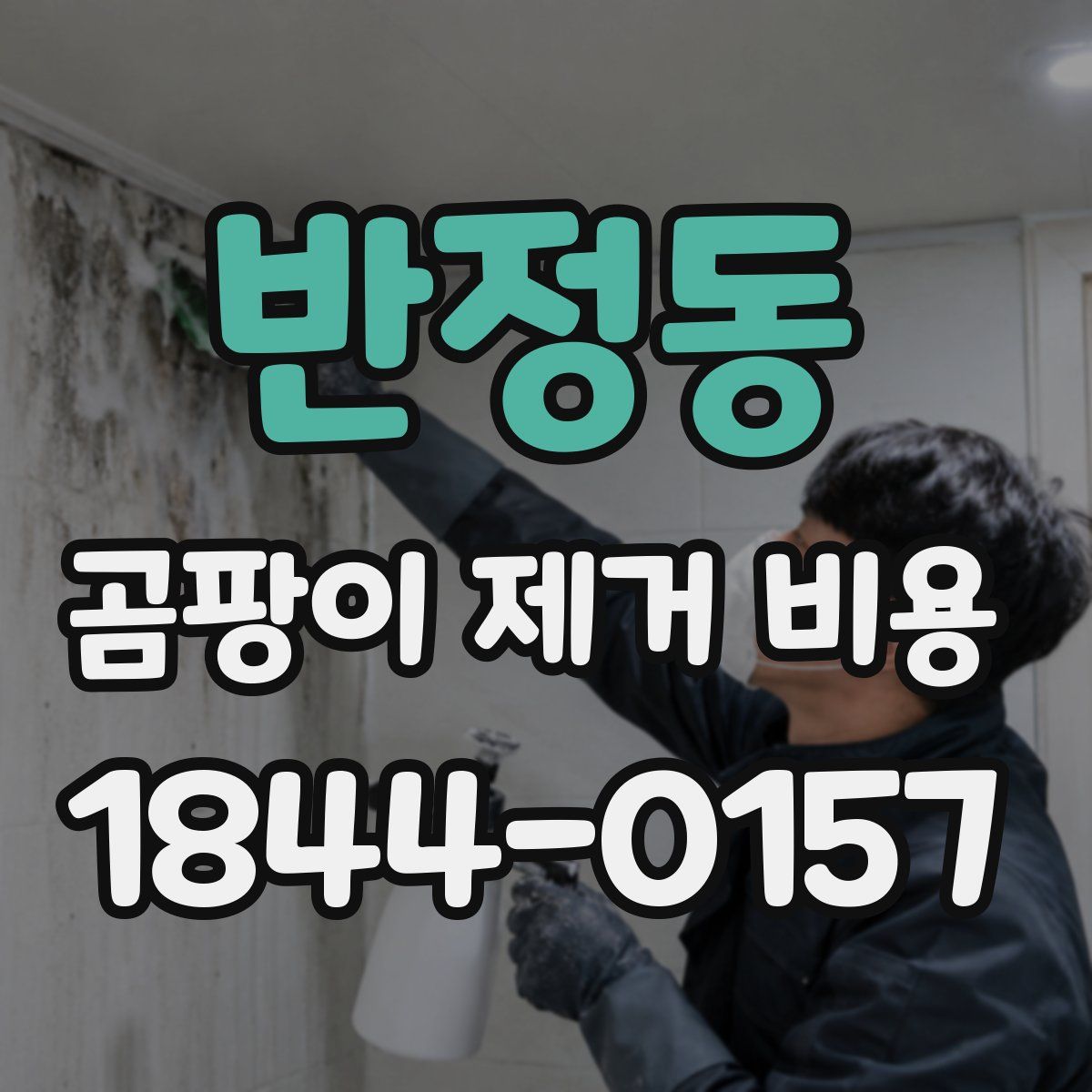 반정동 곰팡이 제거 비용