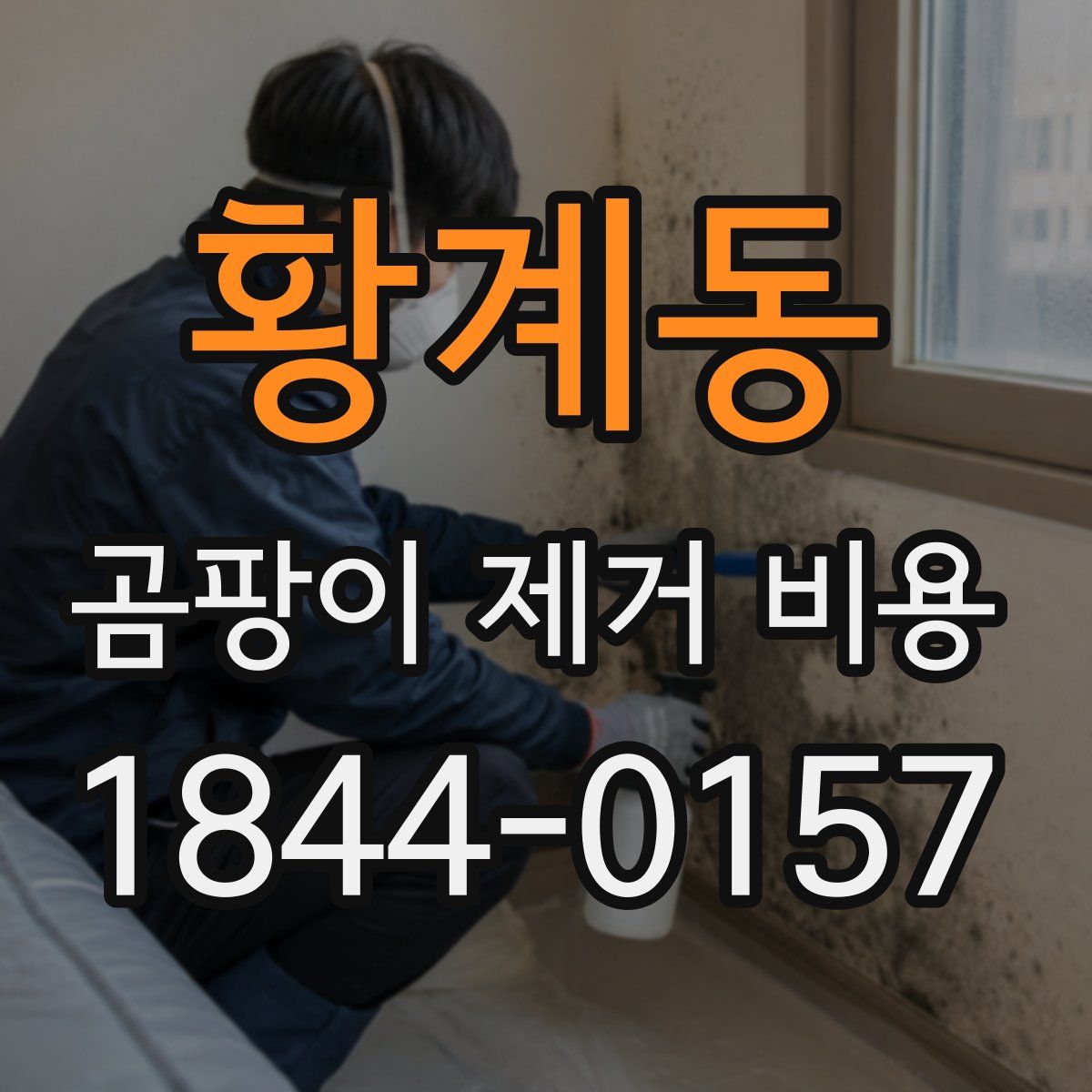 황계동 곰팡이 제거 비용