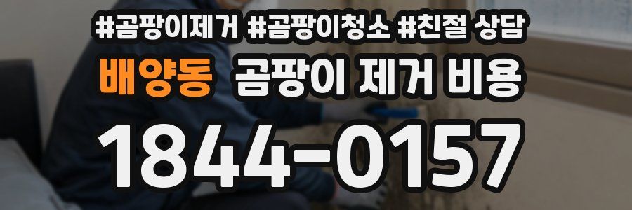 배양동 곰팡이 제거 비용