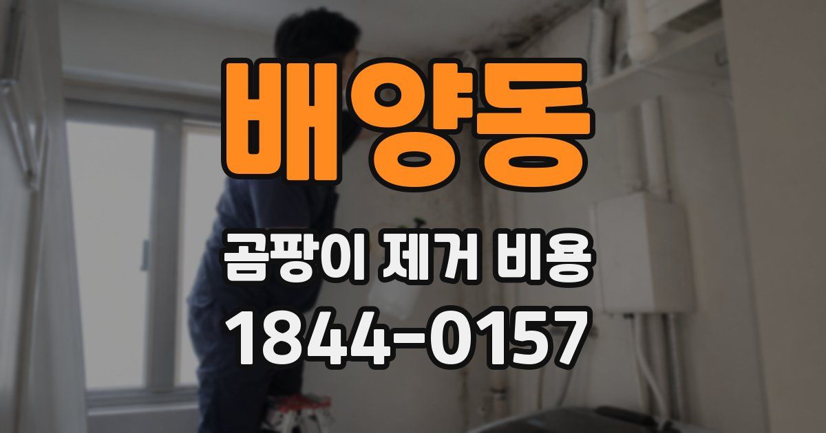 배양동 곰팡이 제거 비용