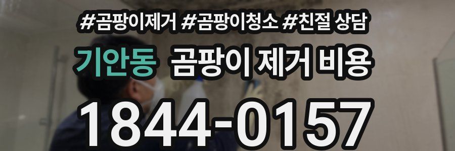 기안동 곰팡이 제거 비용