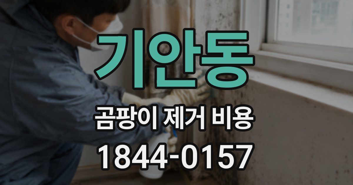 기안동 곰팡이 제거 비용