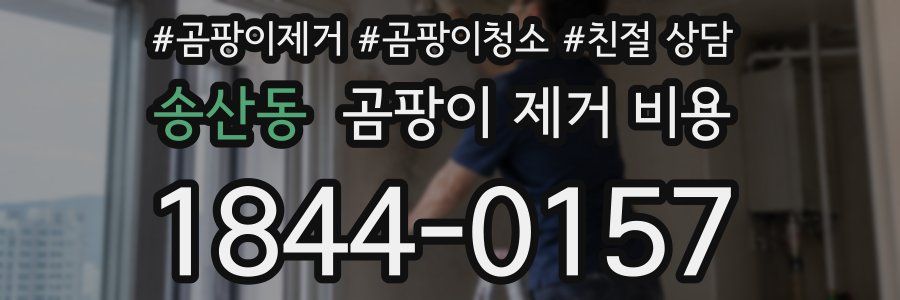 송산동 곰팡이 제거 비용