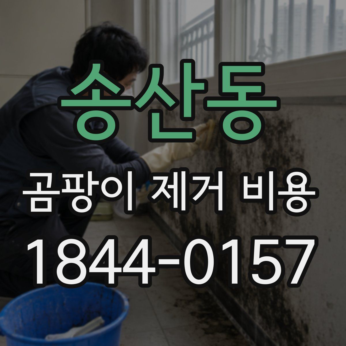 송산동 곰팡이 제거 비용