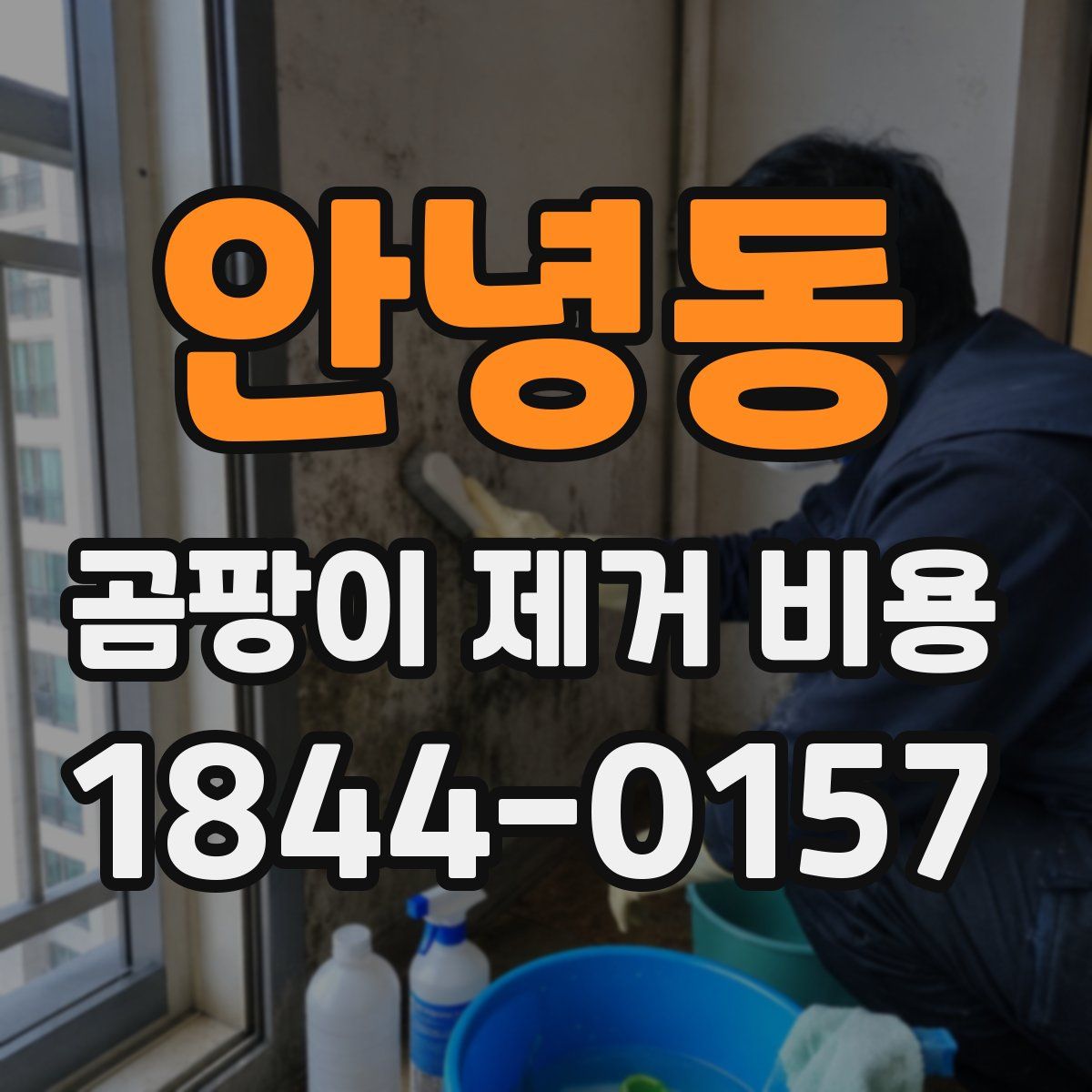 안녕동 곰팡이 제거 비용