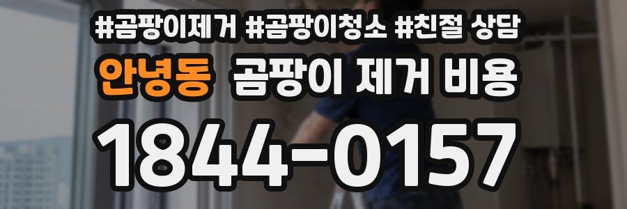안녕동 곰팡이 제거 비용