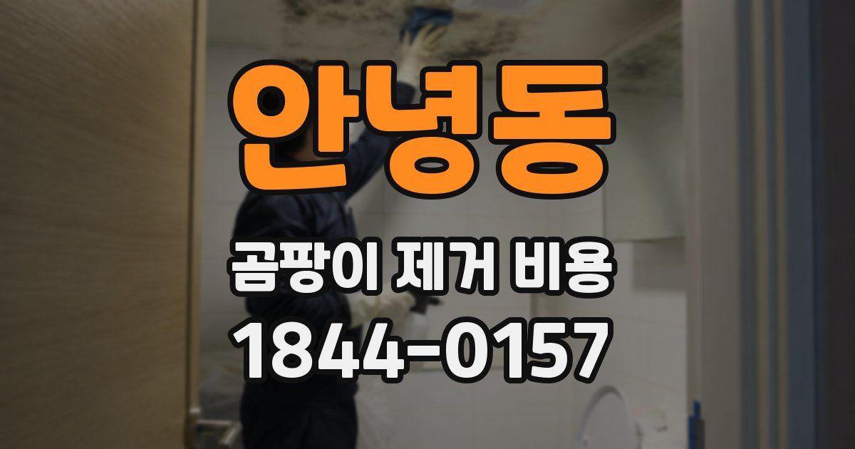 안녕동 곰팡이 제거 비용