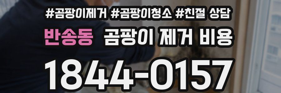 반송동 곰팡이 제거 비용