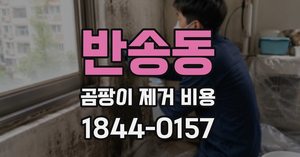 반송동 곰팡이 제거 비용
