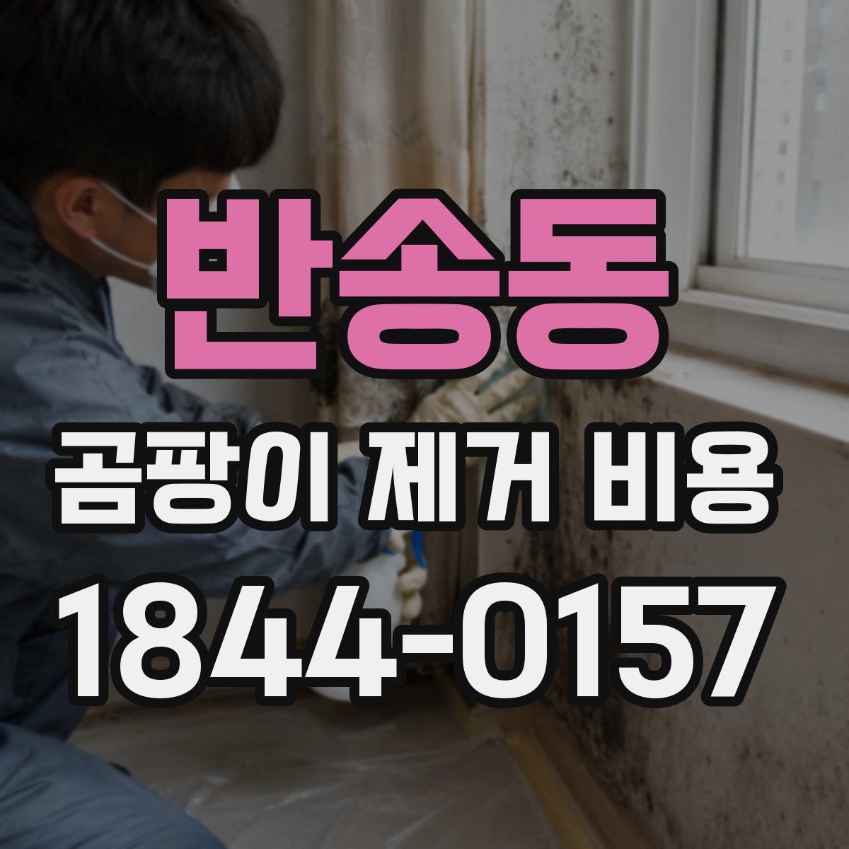 반송동 곰팡이 제거 비용