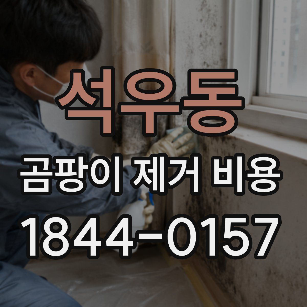 석우동 곰팡이 제거 비용