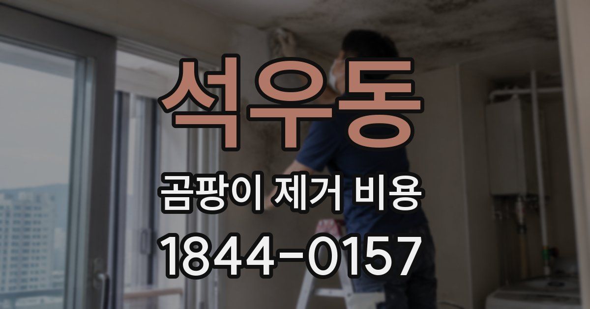 석우동 곰팡이 제거 비용