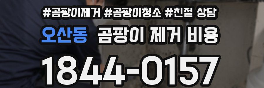오산동 곰팡이 제거 비용