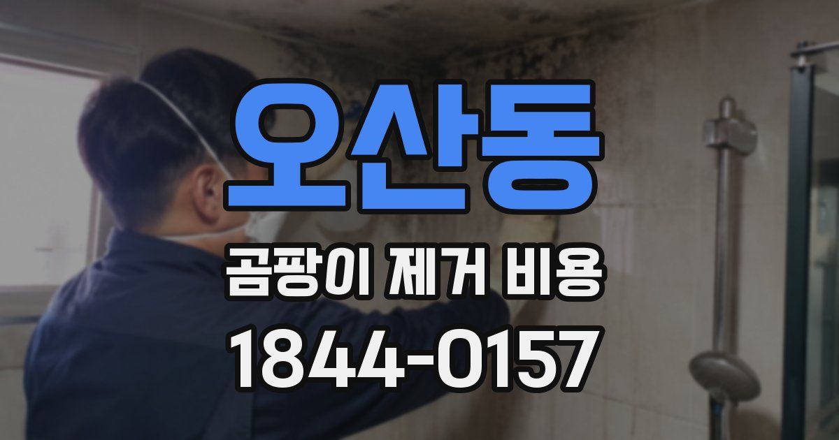 오산동 곰팡이 제거 비용