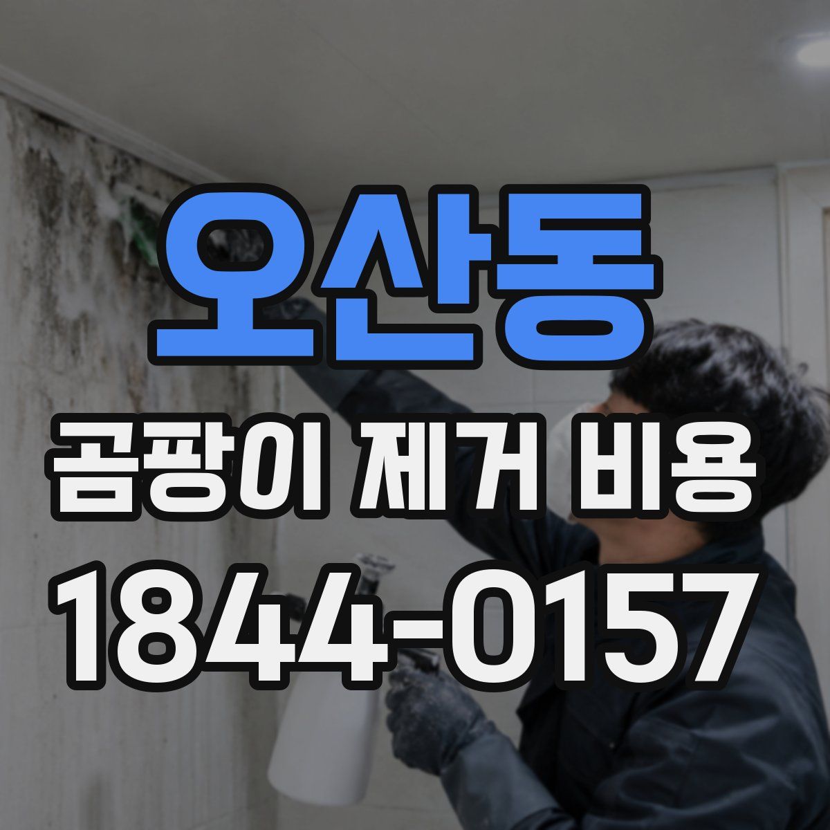 오산동 곰팡이 제거 비용
