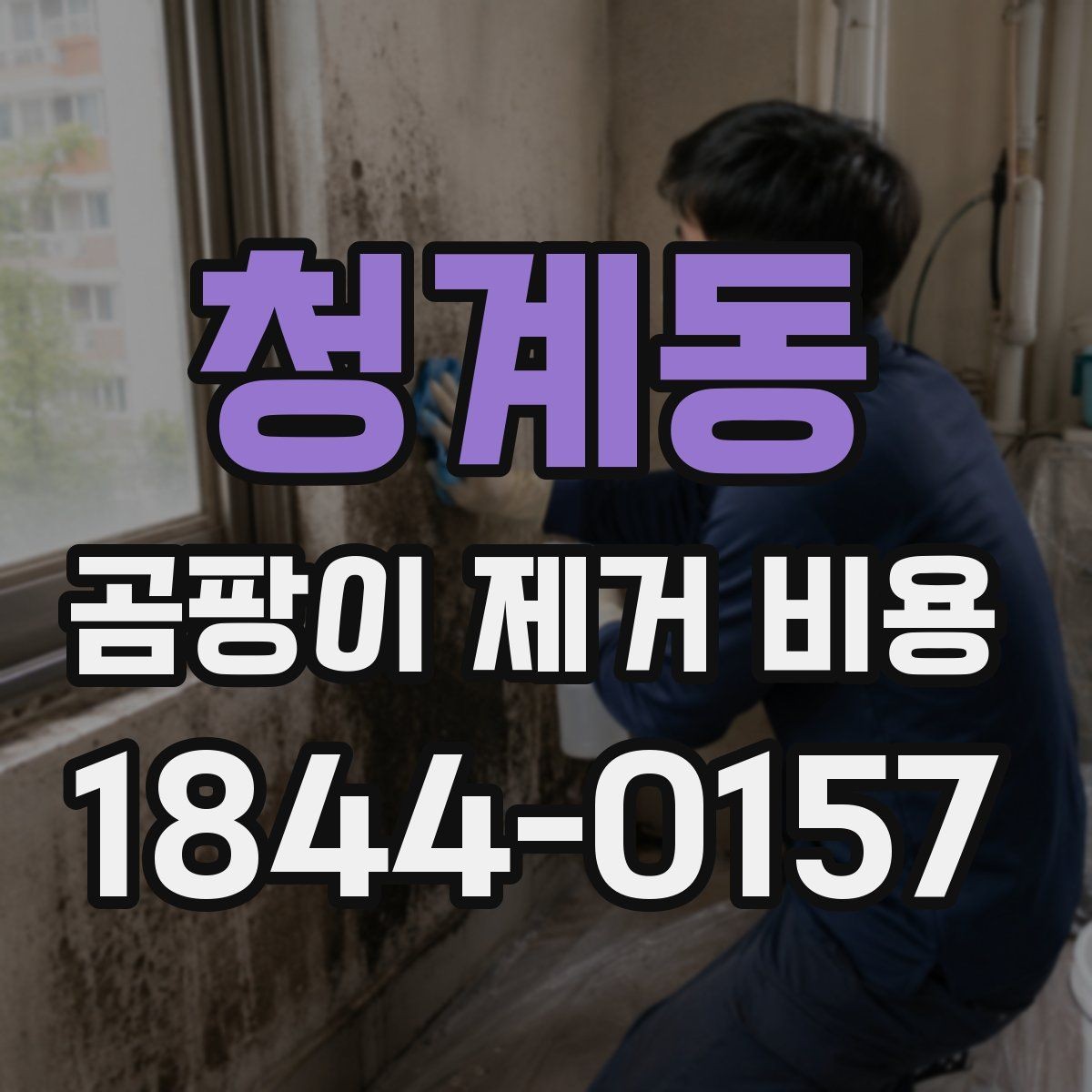 청계동 곰팡이 제거 비용 주택과 아파트는 무엇이 다를까