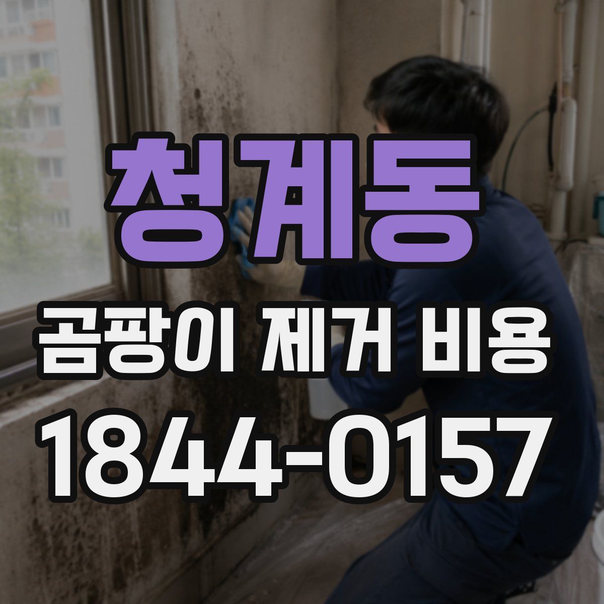 청계동 곰팡이 제거 비용