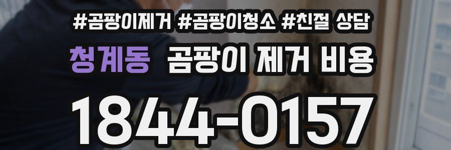 청계동 곰팡이 제거 비용