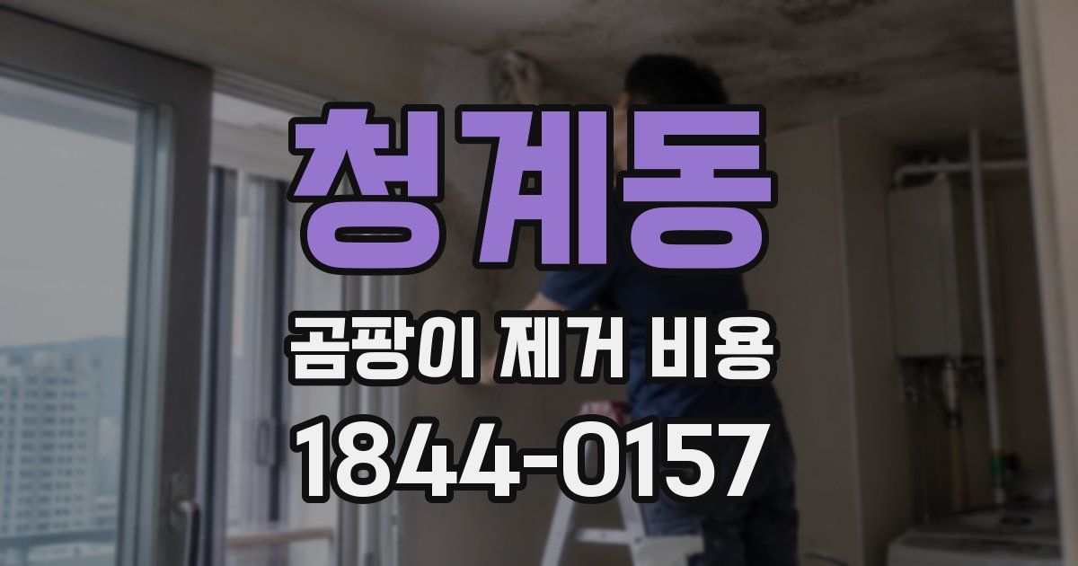 청계동 곰팡이 제거 비용