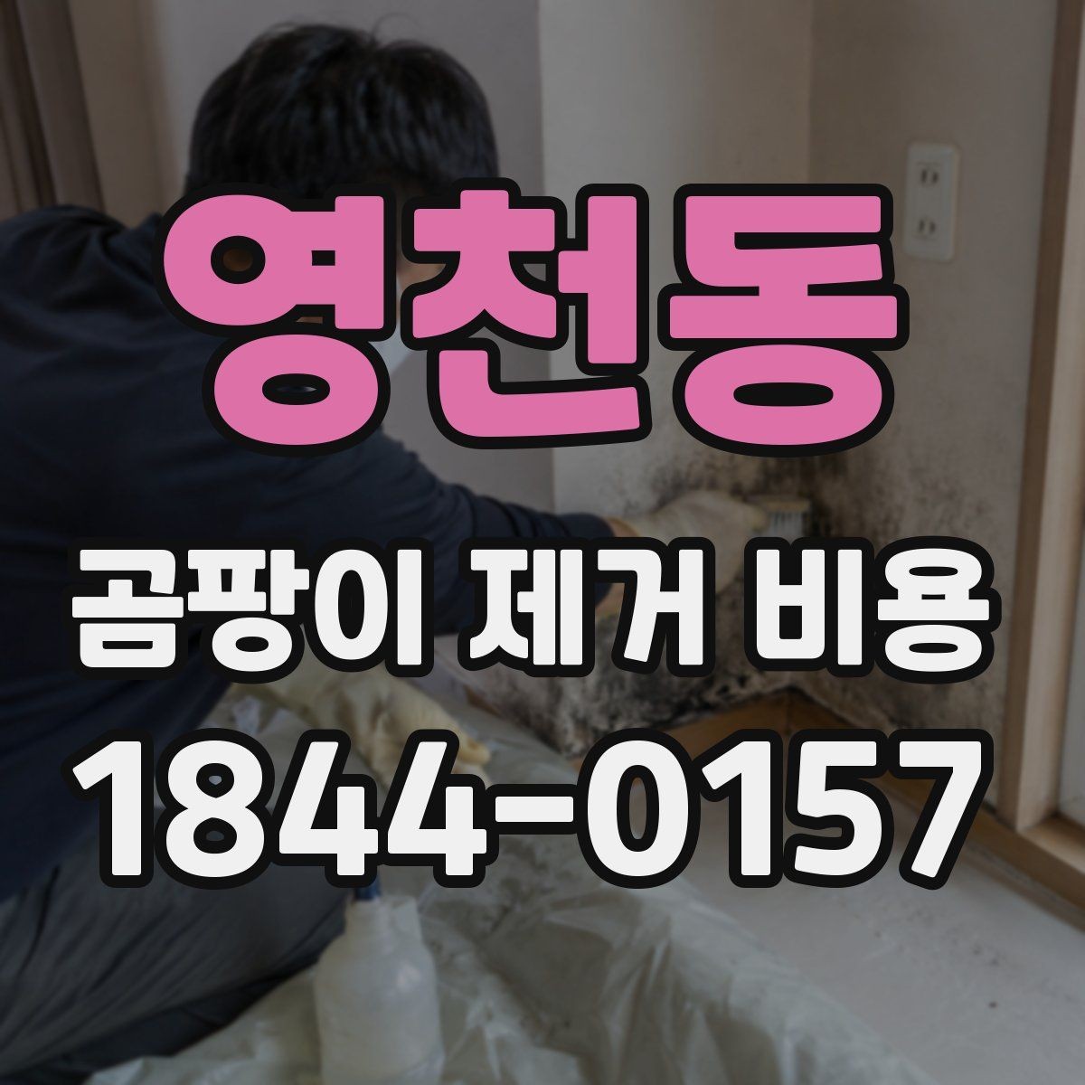 영천동 곰팡이 제거 비용 방 종류에 따라 작업이 달라지는 이유