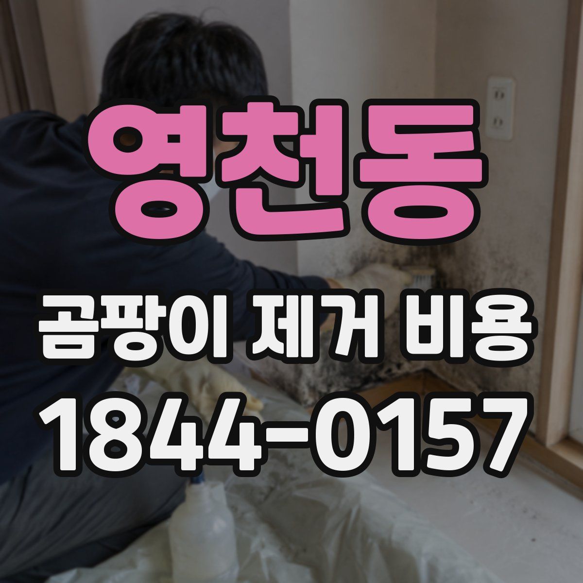 영천동 곰팡이 제거 비용