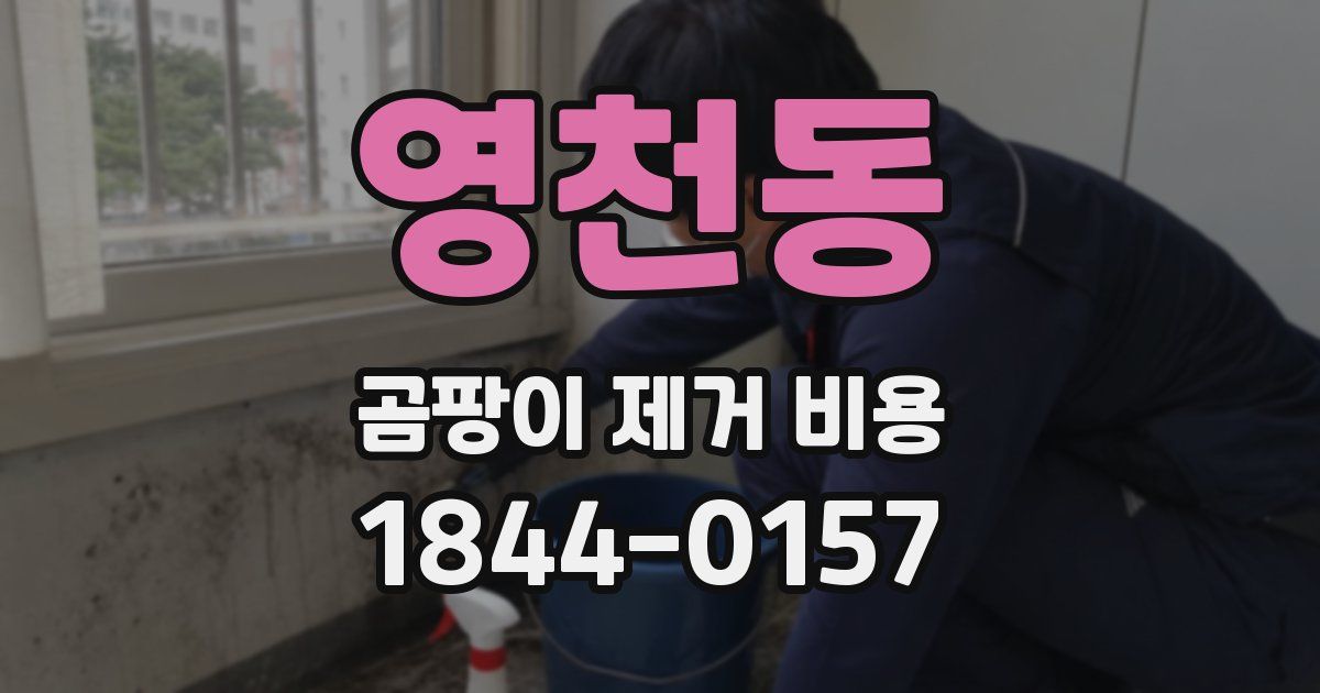 영천동 곰팡이 제거 비용